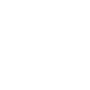 Denver City Chamber of Commerce logo in white